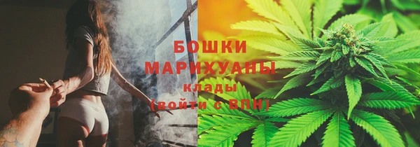 spice Богородск