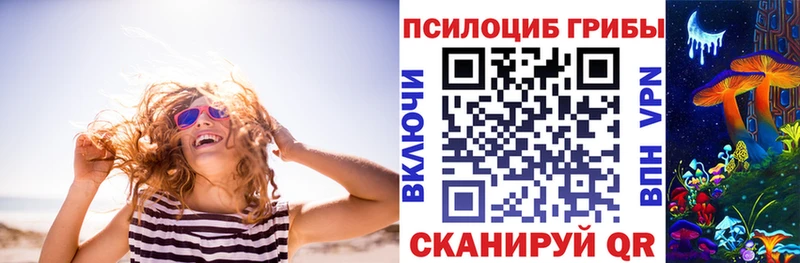 Галлюциногенные грибы GOLDEN TEACHER  купить наркотик  Буйнакск 